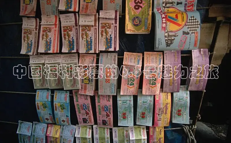 中国福利彩票的6.5号魅力之旅